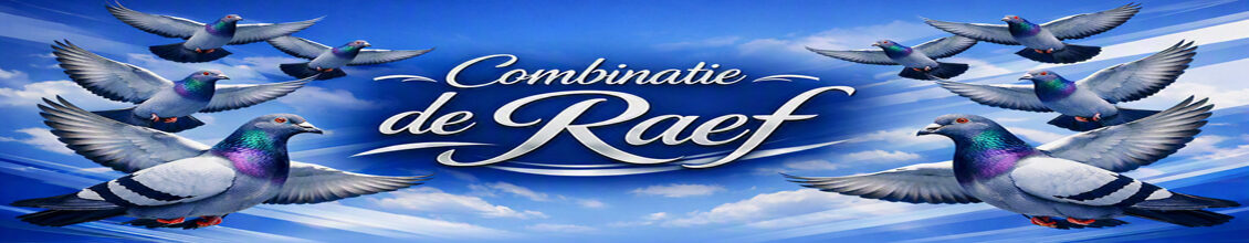 Combinatie de Raef – Huissen